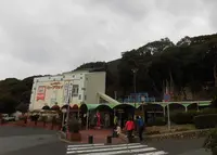 須磨浦公園の写真・動画_image_201391