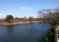 那須りんどう湖レイクビューの写真・動画_image_201467