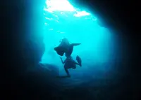 青の洞窟の写真・動画_image_206716