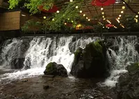 ひろ文の写真・動画_image_206729