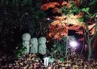 長谷寺の写真・動画_image_207278