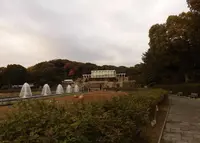 神戸市立須磨離宮公園の写真・動画_image_208615