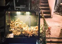 プルミエ・エタージュ （1er ETAGE） の写真・動画_image_208777