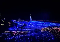京都イルミエールの写真・動画_image_208909