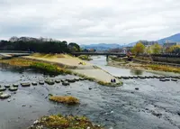 鴨川デルタの写真・動画_image_209500