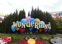 ワンダーランドの写真・動画_image_209791