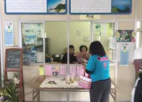 渡名喜港の写真・動画_image_209837