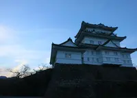 小田原城址公園の写真・動画_image_210008