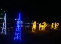 京都府立植物園の写真・動画_image_210023
