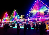 東京ドイツ村の写真・動画_image_210053