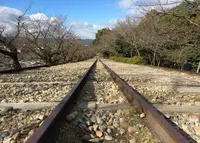 蹴上インクラインの写真・動画_image_210059
