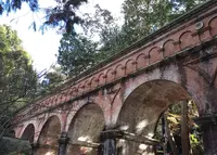 南禅寺の写真・動画_image_210060