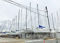 葉山ヨットハーバーの写真・動画_image_210239