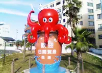 日間賀島の写真・動画_image_210774