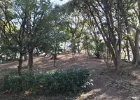 茶臼山（天王寺公園）の写真・動画_image_210830