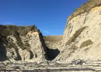 盗人狩の写真・動画_image_211019