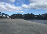 雄島の写真・動画_image_211539