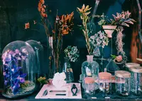 TAKUMI flowerの写真・動画_image_211677