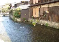 京都白川の写真・動画_image_212489