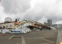 モザイクの写真・動画_image_214340