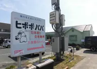 ヒポポパパの写真・動画_image_220964