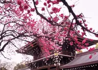 真清田神社の写真・動画_image_221296