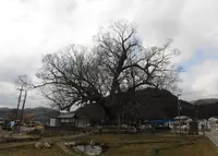 能勢町役場 けやき資料館の写真・動画_image_221547