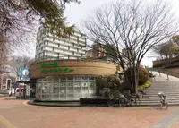 中央公園の写真・動画_image_222313