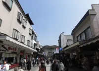 太宰府天満宮参道の写真・動画_image_223966