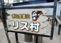 今も大人気のリス村の写真・動画_image_230492