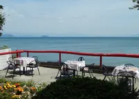 Cafe Lacの写真・動画_image_231184