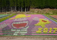 たんとう花公園の写真・動画_image_231550