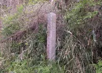 水口岡山城の写真・動画_image_234220