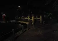 等々力渓谷の写真・動画_image_241044