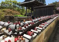 勝尾寺の写真・動画_image_241958