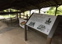 三輪明神窯史跡園の写真・動画_image_243862