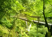 原不動滝の写真・動画_image_245276