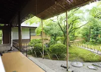 有楽苑の写真・動画_image_247519