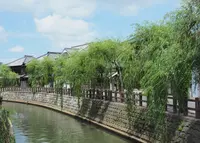 小江戸さわら　舟めぐりの写真・動画_image_247627