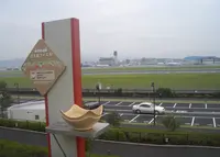 大阪国際空港（伊丹空港）の写真・動画_image_248572