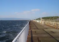 大阪南港魚つり園の写真・動画_image_249919