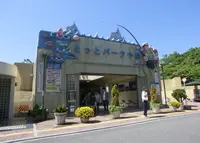 岬町海釣り公園　とっとパーク小島の写真・動画_image_249929