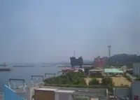 ときめきビーチ（淡輪海水浴場）の写真・動画_image_249932
