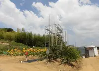 馬場の写真・動画_image_249940