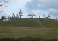 新夕陽ヶ丘(舞洲スポーツアイランド内)の写真・動画_image_249956