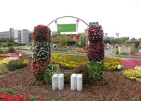 【閉園】うめきたガーデンの写真・動画_image_251521