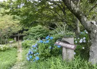 摩耶自然観察園の写真・動画_image_252419