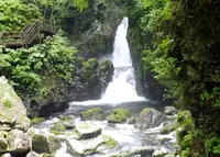 小坂の滝めぐりの写真・動画_image_253754