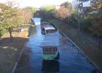 伏見十石舟の写真・動画_image_254825