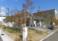 白鹿クラシックスの写真・動画_image_255325